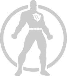 Your Wordpress SuperHero's
