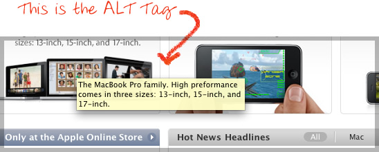 Alt Tags on Images - Good or Bad?