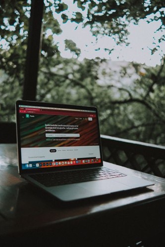 Modern Website Development 2026 First Impression Nature Distilled Aesthetic