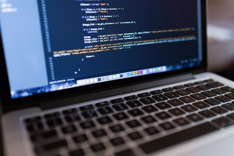 Professional Wordpress Developer Coding On Laptop 2026